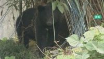 春の行楽シーズンにクマ警戒 警察と金沢市・石川県が初の合同戸別訪問