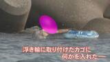 「【検挙の瞬間】カキやサザエ約17キロを“密漁” 金沢海上保安部のパトロールに密着取材 軽装で素潜りする男性の手元には…」の画像1