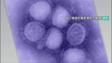 インフルエンザ感染拡大止まらず 石川県内1581人、金沢市を中心に9週ぶりの警報発令