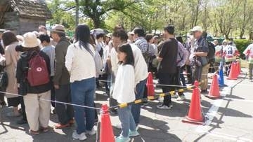 旬のタケノコに長蛇の列 石川最大の産地・金沢市内川地区で「たけのこまつり」とれたてのタケノコ並ぶ ごはん・天ぷら・煮物・たけのこバーガーも