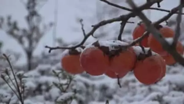 石川県内は12日昼前にかけて山地を中心に大雪の見込み 悪天候による交通障害に注意・警戒