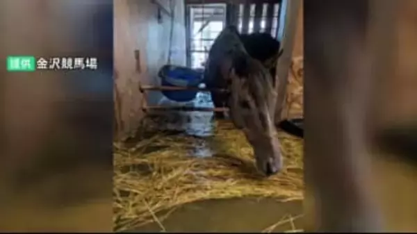 調教師らからは「600頭全てを避難させる場所は確保できない」などの指摘も 大雨で浸水被害の金沢競馬場 競走馬をいち早く避難させる方策などを石川県が年内に取りまとめへ