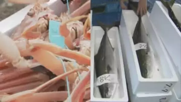 冬の日本海代表する味覚に明暗！ズワイガニ豊漁も寒ブリは不漁続き