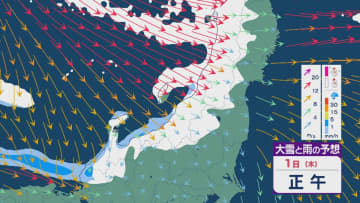 冬型の気圧配置で大みそかや正月は日本海側で雪が降りやすく大雪のところも その後の“仕事始め”のタイミングでさらに大雪や大荒れのおそれ 雪・雨と風シミュレーション