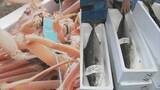 「昨季のズワイガニ漁は豊漁も寒ブリ漁は不漁 能登半島北部の海水温の上昇が原因か」の画像1