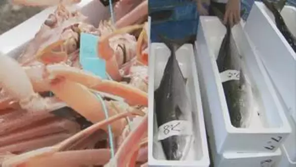 昨季のズワイガニ漁は豊漁も寒ブリ漁は不漁 能登半島北部の海水温の上昇が原因か
