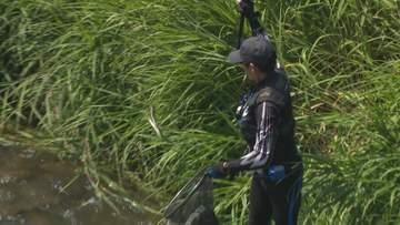 16日のアユ漁解禁前に金沢市浅野川で試し釣り大きいものでは20センチほどのアユも