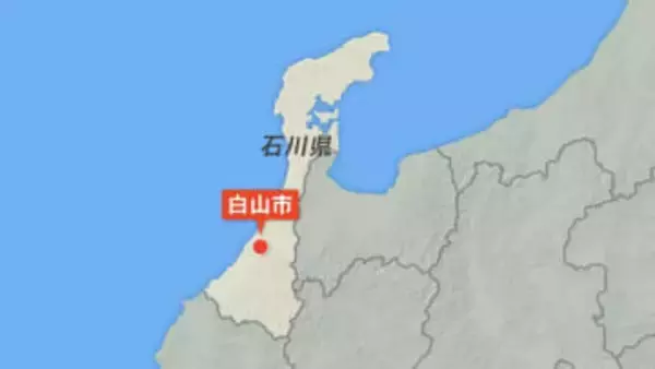 カキの木の上にクマ居座る “緊急銃猟”は行わない方針 石川・白山市の山間部