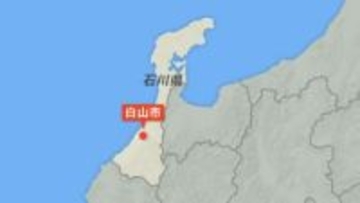 カキの木の上にクマ居座る “緊急銃猟”は行わない方針 石川・白山市の山間部