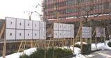 「候補者ポスター掲示板「4つ並ぶのは初めて」衆議院選挙・石川県知事選挙・金沢市長選挙・金沢市議会議員補欠選挙」の画像1