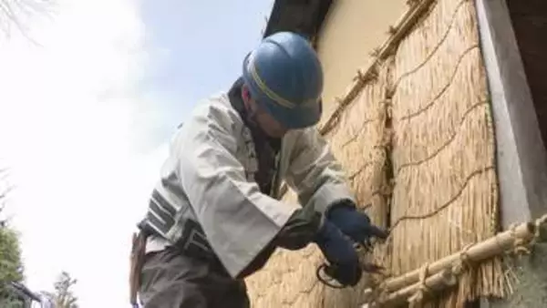 風物詩・春を訪れ告げる「薦外し」石川・金沢市 長町武家屋敷 冬の間、土塀を雪や凍結から守る「薦」