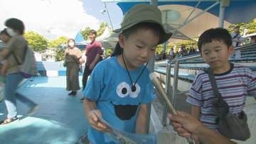 「ポケモンスタンプラリー人気のとじま水族館・夏休みの子どもたちでにぎわう