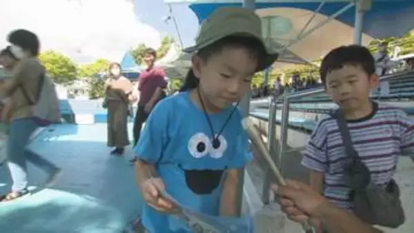 「ポケモンスタンプラリー人気のとじま水族館・夏休みの子どもたちでにぎわう