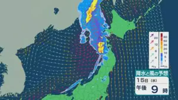 台風9号（バービー）は温帯低気圧に 15日(水)は日本海を通り北海道付近へ 北陸から北の日本海側では雨風強まる天気に 雨と風シミュレーション