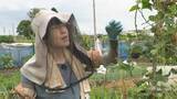 「「空虚を食べ物で埋めていた」摂食障害に向き合ったオーナーが作る“ありのまま”のカフェと無農薬野菜「救いの場」に集う当事者たち」の画像1