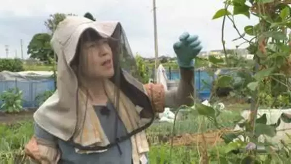 「空虚を食べ物で埋めていた」摂食障害に向き合ったオーナーが作る“ありのまま”のカフェと無農薬野菜「救いの場」に集う当事者たち