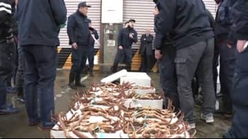 鮮魚・青果で初市 市場に威勢のいい掛け声戻る 石川県金沢市中央卸売市場