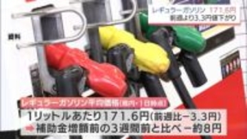 宮崎県内のレギュラーガソリン平均価格は171.6円　前週より3.3円安く