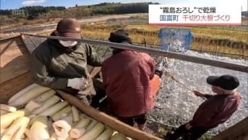 のどかな田園風景に真っ白に敷き詰められた大根　国富町で「千切り大根づくり」始まる