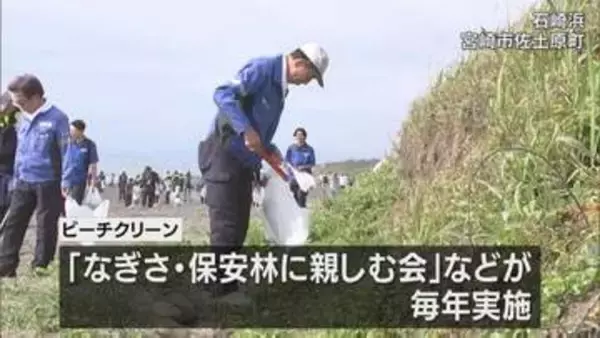 アカウミガメの産卵地　宮崎市佐土原町の石崎浜でビーチクリーン