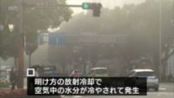宮崎県南部 14日朝に局地的に濃霧が発生　13日の雨が影響