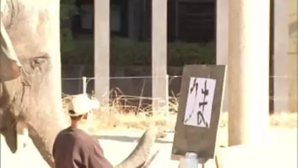 「うま」と「午」アジアゾウのみどり　新春の書き初め　宮崎市フェニックス自然動物園