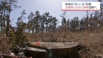 松林の「松くい虫」被害対策に　宮崎市が「企業版ふるさと納税」を活用へ