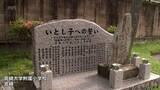 「1945年5月11日の米軍空襲で犠牲となった児童16人を追悼　宮崎大学附属小学校で「いとし子命の集い」」の画像1