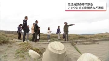 環境問題の専門家などで構成「MRTキープみやざきビューティフル審議会」　委員がアカウミガメの産卵地を視察