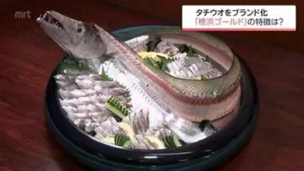 宮崎市で水揚げ　最高品質のテンジクタチウオをブランド化　「檍浜ゴールド」とは