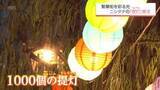 「繁華街を彩る　宮崎市ニシタチの提灯が復活」の画像1