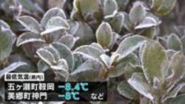 五ヶ瀬町鞍岡で-8.4℃など　宮崎県内各地でこの冬一番の冷え込み