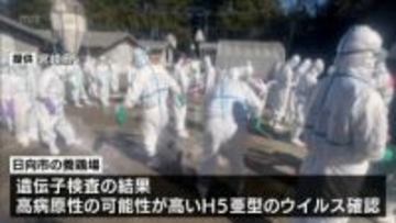 鳥インフルエンザ　日向市の養鶏場の約4万8000羽の殺処分終わる