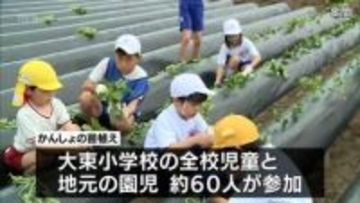 地元特産「かんしょ」への理解を深めて　串間市で子どもたちが植え付け体験