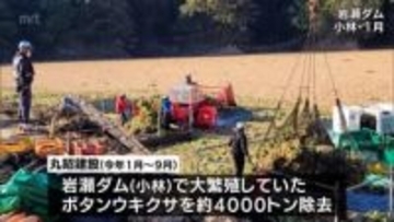 小林市のダムで大繁殖 特定外来生物「ウキクサ」を除去　熊本県の建設会社に宮崎県から感謝状