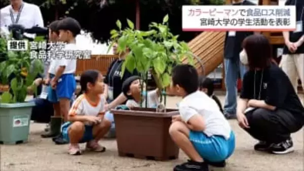 カラーピーマンを活用して食品ロス削減へ　宮崎大学の学生たちの取り組みが農林水産省から表彰