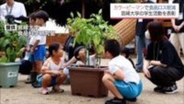 カラーピーマンを活用して食品ロス削減へ　宮崎大学の学生たちの取り組みが農林水産省から表彰