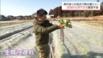 多くの地点で降水量0ミリ　宮崎県内は記録的な雨不足に　農作物の生育に遅れが