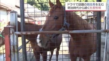 ドラマで注目集める「馬の生産牧場」　馬のいる町・宮崎県三股町で約150年以上続く牧場の仕事と思い