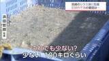 「ちりめんじゃこ原料のシラス記録的不漁で廃業相次ぐ「あすは我が身かなと思っている」」の画像1