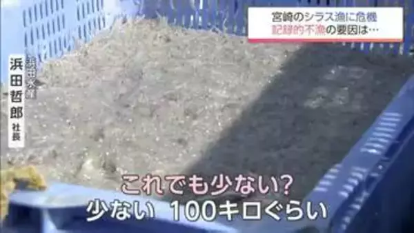 ちりめんじゃこ原料のシラス記録的不漁で廃業相次ぐ「あすは我が身かなと思っている」