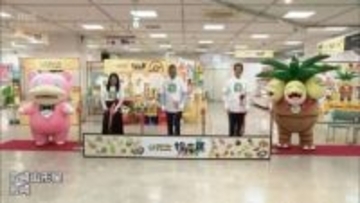 12道県とコラボしたポケモンのオリジナル商品揃う「ポケモンローカルActs物産展」　宮崎山形屋で始まる