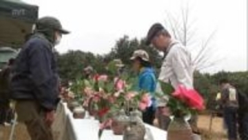 宮崎市の椿山森林公園で椿ふれあいまつり