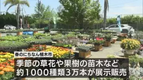 春のにちなん植木市