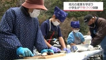 アオアジ約200匹を背開きに　延岡市の小学生が魚の干物づくり体験