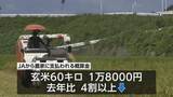 「串間市で早場米の稲刈りシーズン　今年は価格下落も…」の画像1