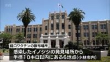 野生イノシシの「豚熱」感染確認　小林市で経口ワクチンを散布