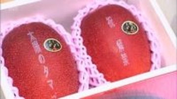 1ケース2玉入り55万円の最高値　宮崎県産の完熟マンゴー「太陽のタマゴ」　今季の初競り