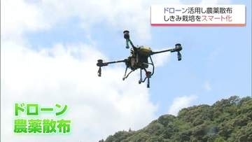 「しきみ」のスマート栽培を目指して　延岡市でドローンを活用した農薬散布の実演会