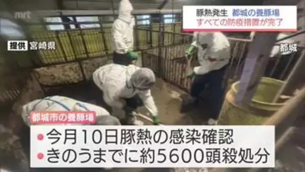 都城市の養豚場での「豚熱」　すべての防疫措置が完了　5日間でのべ約800人が従事